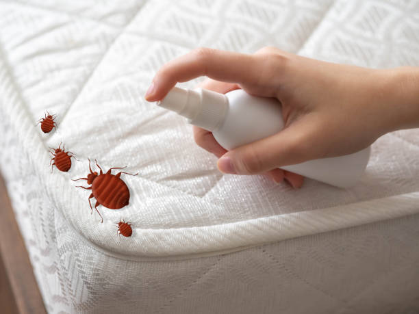 Trusted Bend, OR Pest Control Experts